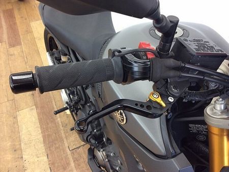 ヤマハ MT-09 MT-09 ★☆カーボンフェンダー ストライカーバックステップ その他カスタム多数☆★!! 8