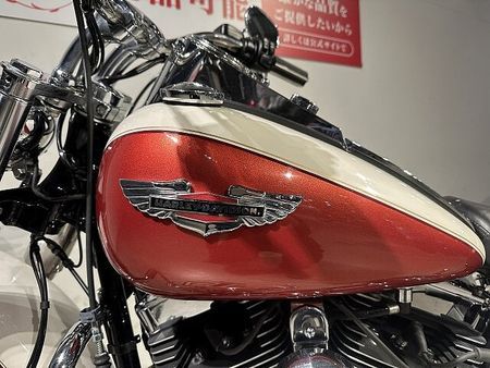 ハーレーダビッドソン FLSTN SOFTAIL DELUXE FLSTN1580 2012年モデル ツインカム96 カスタム多数 【マル得】 39