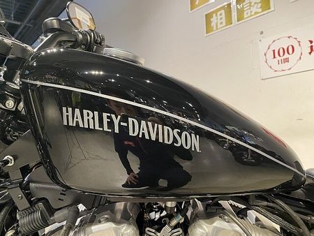 ハーレーダビッドソン XL1200N NIGHTSTER XL1200N ナイトスター カスタムウィンカー テールランプ 22