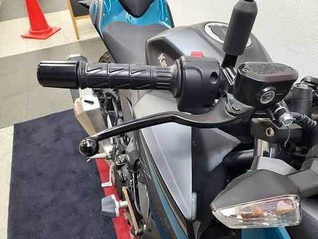 カワサキ Z250 Z250 2021年モデル トリックスターエンジンスライダー装備 19