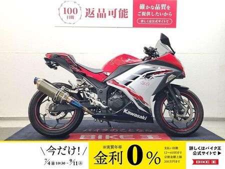 カワサキ ニンジャ 250 NINJA250 2013年モデル BEETナサートマフラー、ステップ グリップヒーター 1
