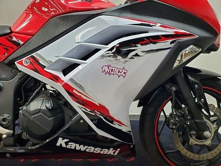 カワサキ ニンジャ 250 NINJA250 2013年モデル BEETナサートマフラー、ステップ グリップヒーター 13