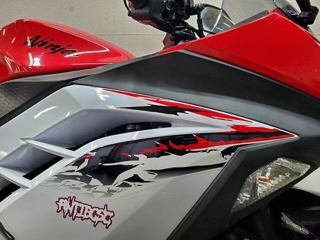 カワサキ ニンジャ 250 NINJA250 2013年モデル BEETナサートマフラー、ステップ グリップヒーター 25