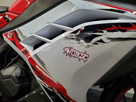 カワサキ ニンジャ 250 NINJA250 2013年モデル BEETナサートマフラー、ステップ グリップヒーター 26