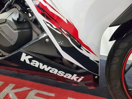 カワサキ ニンジャ 250 NINJA250 2013年モデル BEETナサートマフラー、ステップ グリップヒーター 27