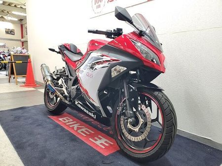 カワサキ ニンジャ 250 NINJA250 2013年モデル BEETナサートマフラー、ステップ グリップヒーター 3