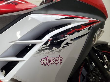 カワサキ ニンジャ 250 NINJA250 2013年モデル BEETナサートマフラー、ステップ グリップヒーター 33