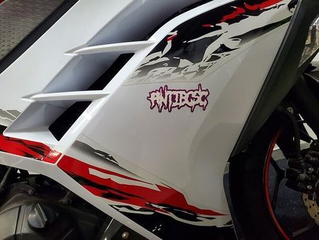 カワサキ ニンジャ 250 NINJA250 2013年モデル BEETナサートマフラー、ステップ グリップヒーター 34