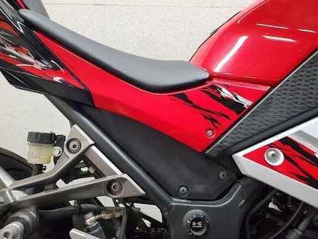カワサキ ニンジャ 250 NINJA250 2013年モデル BEETナサートマフラー、ステップ グリップヒーター 40