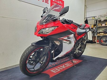 カワサキ ニンジャ 250 NINJA250 2013年モデル BEETナサートマフラー、ステップ グリップヒーター 6