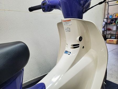 ホンダ スーパーカブ110プロ スーパーカブ110 2009年モデル シフトインジケーター装備 ステップカスタム 13