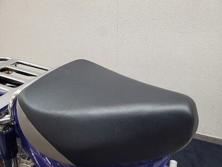 ホンダ スーパーカブ110プロ スーパーカブ110 2009年モデル シフトインジケーター装備 ステップカスタム 15