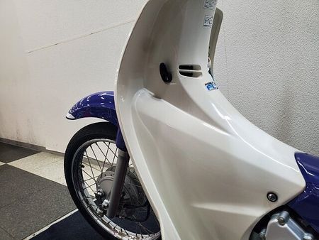 ホンダ スーパーカブ110プロ スーパーカブ110 2009年モデル シフトインジケーター装備 ステップカスタム 25