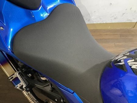 カワサキ ニンジャ 250 NINJA250 ABS / 2018年モデル / ワンオーナー / 社外マフラー装備! 25