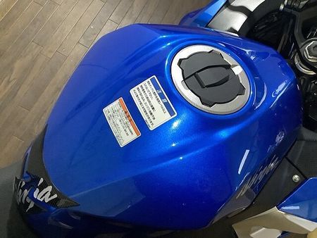 カワサキ ニンジャ 250 NINJA250 ABS / 2018年モデル / ワンオーナー / 社外マフラー装備! 8