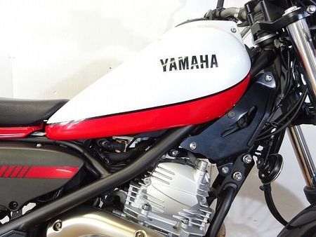 ヤマハ トリッカー トリッカー 2009年モデル TY-Sキット装着車 8