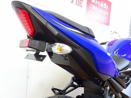 スズキ GSX250R GSX250R ABS フェンダーレス!! 14