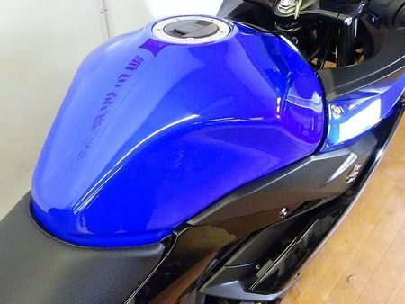 スズキ GSX250R GSX250R ABS フェンダーレス!! 17