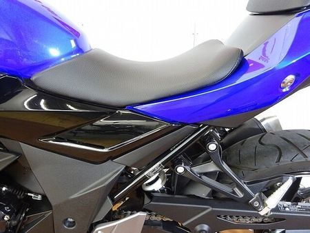 スズキ GSX250R GSX250R ABS フェンダーレス!! 32