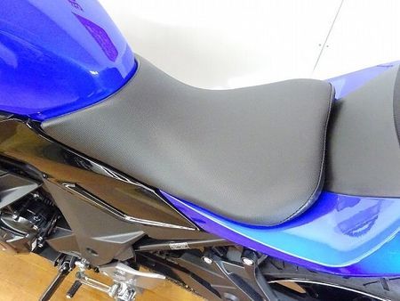 スズキ GSX250R GSX250R ABS フェンダーレス!! 37