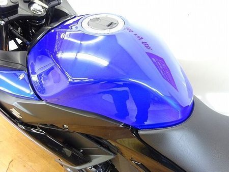 スズキ GSX250R GSX250R ABS フェンダーレス!! 38
