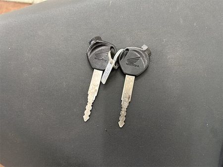 ホンダ タクト ベーシック TACT Basic 2019年モデル 純正リアキャリア装備 11