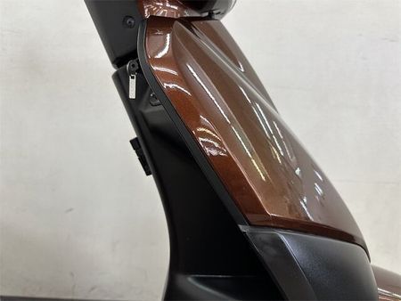 ホンダ タクト ベーシック TACT Basic 2019年モデル 純正リアキャリア装備 22