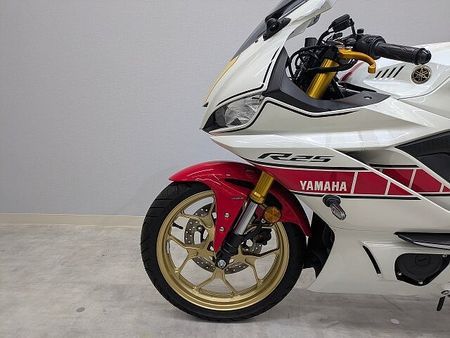 ヤマハ YZF-R25 YZF-R25 WGP 60th Anniversary 14