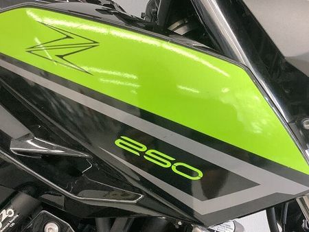 カワサキ Z250 Z250 2022年モデルワンオーナーリアキャリア装備バイザーカスタム 36