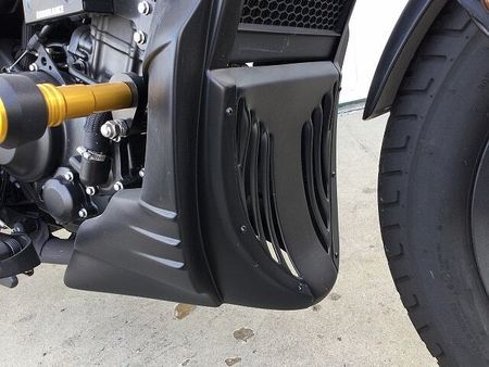 ホンダ レブル 250 レブル250【マル得】グリップヒーター・ウィンカー・キャリア・バックサポート・エンジンスラ 30