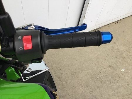 カワサキ ZRX1200R ZRX1200DAEG フェンダーレス・エンジンスライダーなどカスタム多数 17