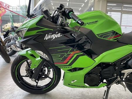 カワサキ ニンジャ 250 【7月限定価格】NINJA250【マル得】2023年モデル/フェンダーレス/カスタムグリッ 30