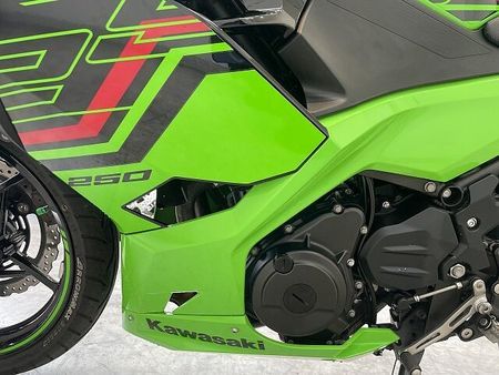 カワサキ ニンジャ 250 【7月限定価格】NINJA250【マル得】2023年モデル/フェンダーレス/カスタムグリッ 33