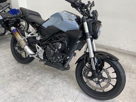 ホンダ CB250R CB250R 2018年モデル/外装塗り/グリップヒーター/エンドゥランスサイレンサー/フ 2