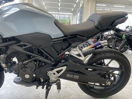 ホンダ CB250R CB250R 2018年モデル/外装塗り/グリップヒーター/エンドゥランスサイレンサー/フ 30