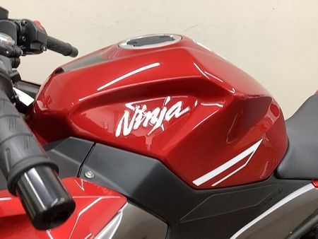 カワサキ ニンジャ 250 ニンジャ250 NINJAシリーズでは珍しいレッドカラーが目を惹く2022年モデル! 28