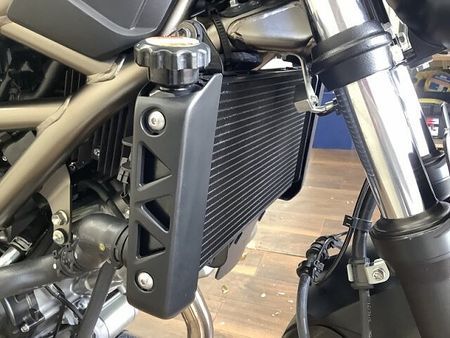 スズキ SV650 SV650 トレリスフレームの綺麗な造形とVツインのトルク感が特徴のミドルクラスネイキッド 31