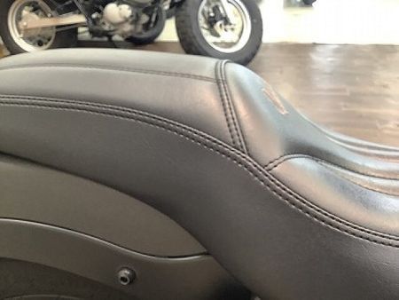 ホンダ レブル 250 レブル250 カスタムするバイクの楽しさを具現化させたスタイル!便利なサイドバッグ装備! 36
