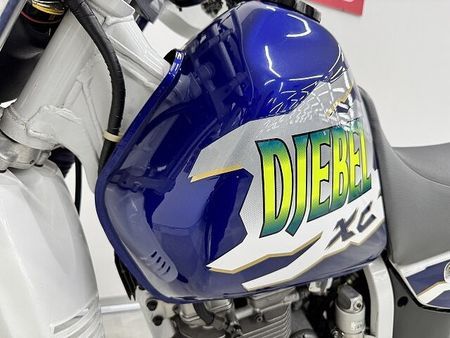 スズキ ジェベル250 ジェベル250XC 油冷単気筒 ナックルガード・メーターバイザー他装備!! 27