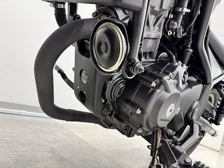 ホンダ レブル 250 REBEL 250 ABS 2023年モデル ビキニカウル・レバー・タンクパッド装備!! 36