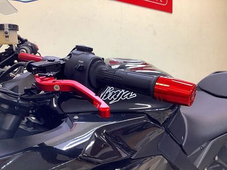 カワサキ ニンジャ 1000 (Z1000SX) NINJA1000【ノジマサイレンサーカスタム・サイドパニア付き・車検残たっぷり♪】 12