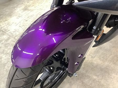 ヤマハ YZF-R25 YZF-R25 ABS WR'Sマフラー フェンダーレス スクリーン 2023年モデル 25