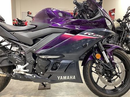 ヤマハ YZF-R25 YZF-R25 ABS WR'Sマフラー フェンダーレス スクリーン 2023年モデル 32
