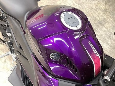 ヤマハ YZF-R25 YZF-R25 ABS WR'Sマフラー フェンダーレス スクリーン 2023年モデル 34