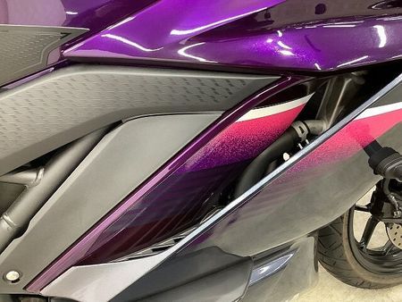 ヤマハ YZF-R25 YZF-R25 ABS WR'Sマフラー フェンダーレス スクリーン 2023年モデル 37