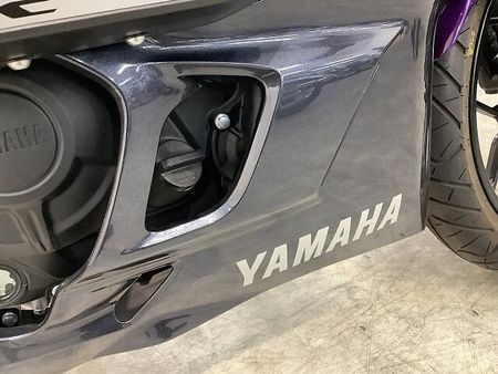 ヤマハ YZF-R25 YZF-R25 ABS WR'Sマフラー フェンダーレス スクリーン 2023年モデル 38