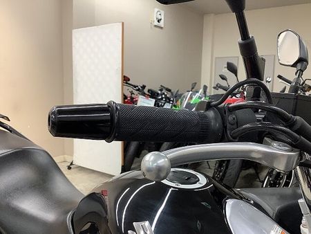 スズキ GSR250S GSR250S 2014年モデル エンジンガード デイトナリアキャリア 11