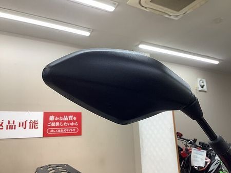 スズキ GSR250S GSR250S 2014年モデル エンジンガード デイトナリアキャリア 10