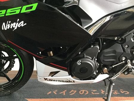 カワサキ ニンジャ 250 Ninja 250 低走行 13