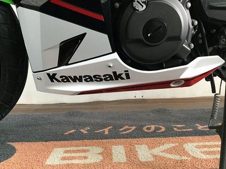 カワサキ ニンジャ 250 Ninja 250 低走行 16